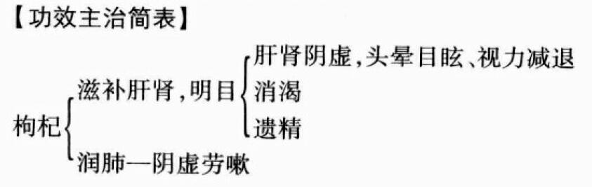 枸杞子的功效与作用