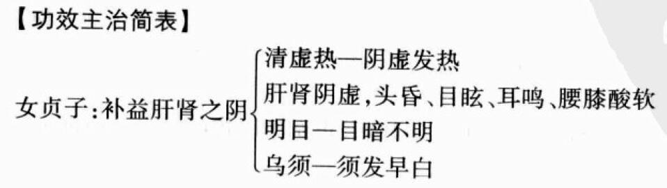 女贞子的功效与作用