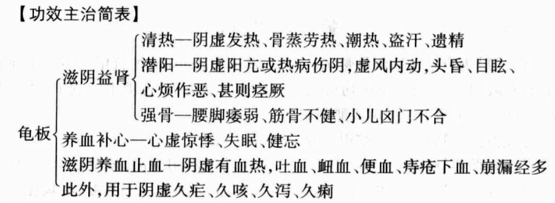 龟甲的功效与作用