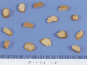 玉竹的功效与作用及禁忌,中药玉竹图片