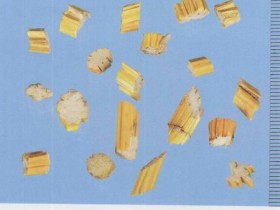 石斛的功效与作用及禁忌,中药石斛图片