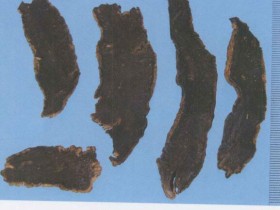 玄参的功效与作用及禁忌,中药玄参图片