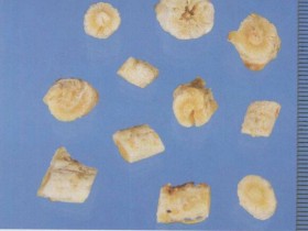 沙参的功效与作用及禁忌,中药沙参图片