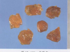 龙眼肉的功效与作用及禁忌,中药龙眼肉图片