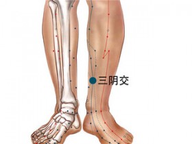 三阴交穴的准确定位,按摩三阴交的好处