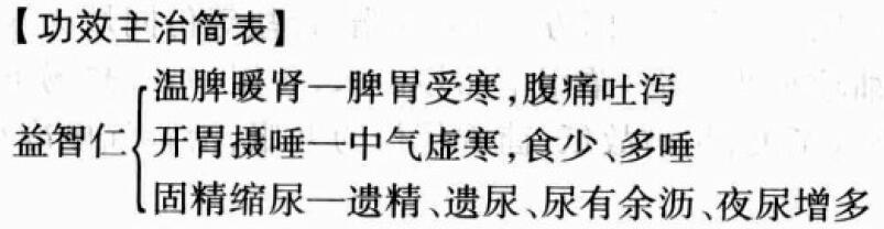 益智仁的功效与作用