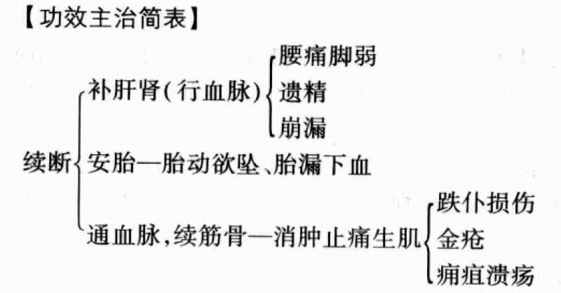 续断的功效与作用