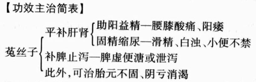 菟丝子的功效与作用