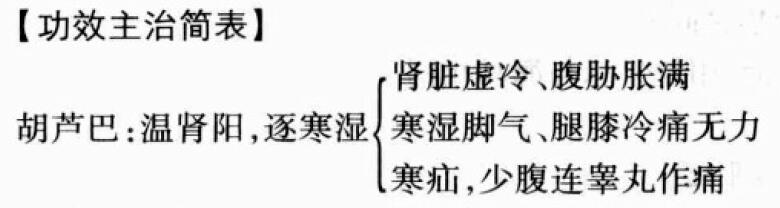 葫芦巴的功效与作用