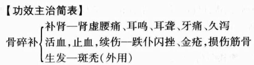 骨碎补的功效与作用