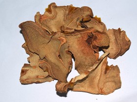 狗脊的功效与作用及禁忌,中药狗脊图片