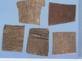 杜仲的功效与作用及禁忌,中药杜仲图片