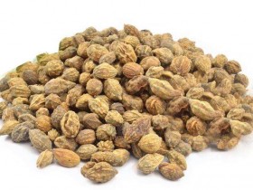 益智仁的功效与作用及禁忌,中药益智仁图片