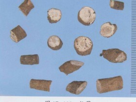 仙茅的功效与作用及禁忌,中药仙茅图片