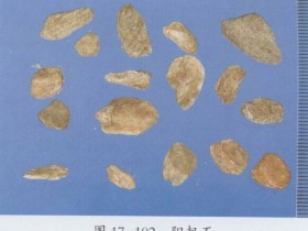 阳起石的功效与作用及禁忌,中药阳起石图片