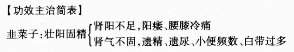 韭菜子的功效与作用