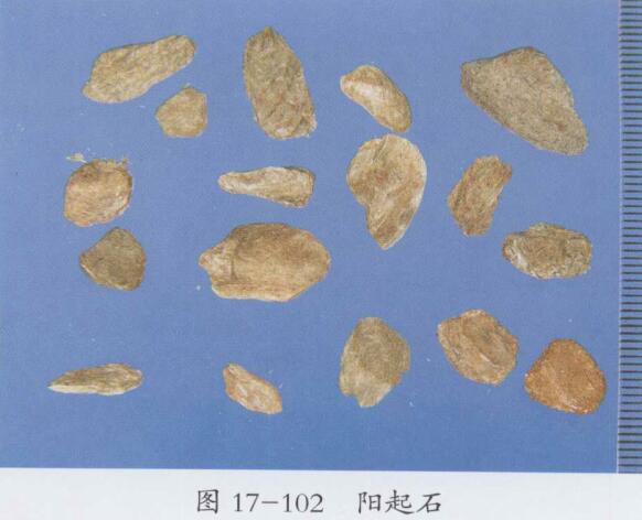 阳起石