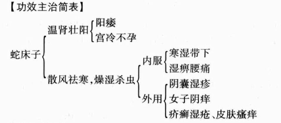 蛇床子的功效与作用