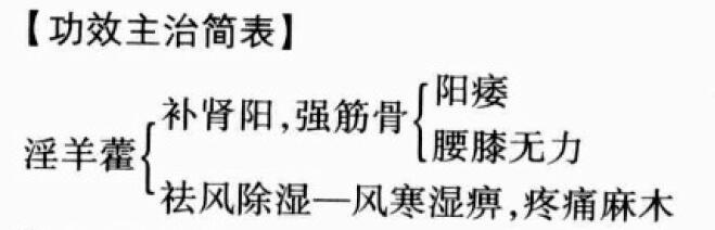 淫羊藿的功效与作用