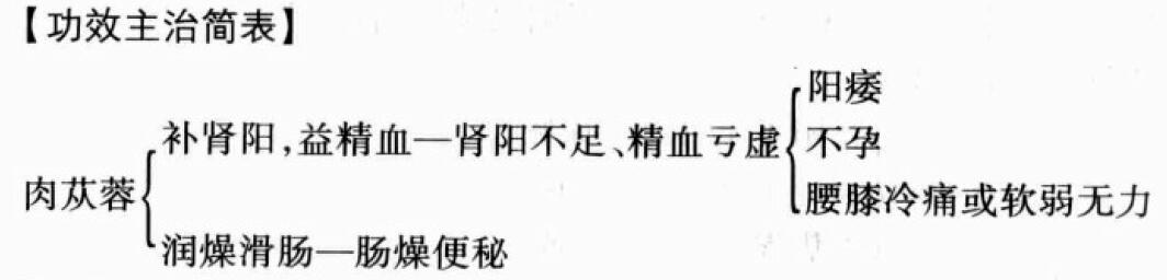 肉苁蓉的功效与作用