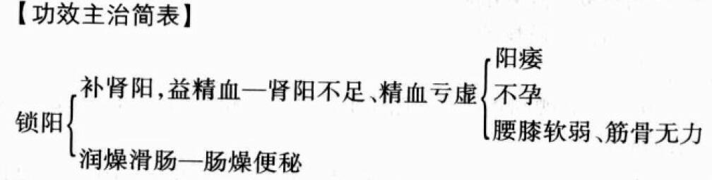 锁阳的功效与作用