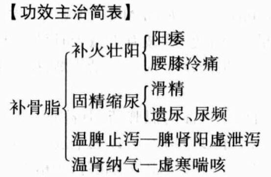 补骨脂的功效与作用