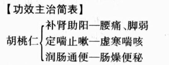 胡桃仁的功效与作用