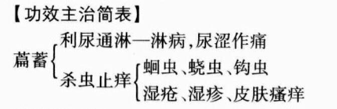 萹蓄的功效与作用