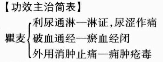 瞿麦的功效与作用