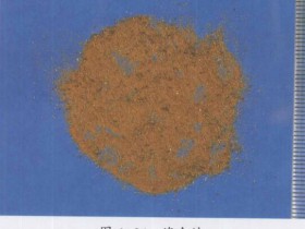 海金沙的功效与作用及禁忌,中药海金沙图片