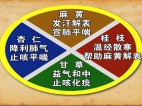 麻黄汤的组成,原文解析,麻黄汤方歌方解,功效与作用