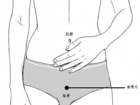 缓解中老年人头晕、头痛，预防老年痴呆的养生妙招