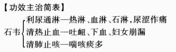 石韦的功效与作用