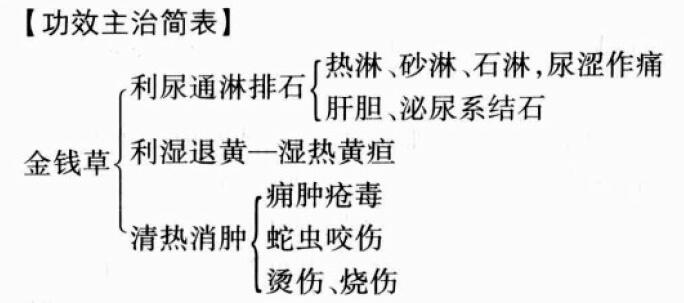 金钱草的功效与作用