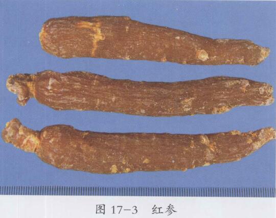 红参