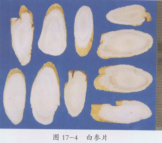 白参片