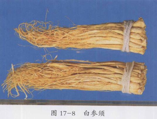 白参须