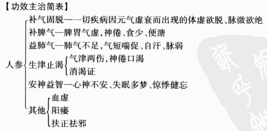 人参的功效与作用