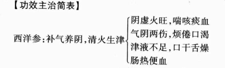 西洋参的功效与作用