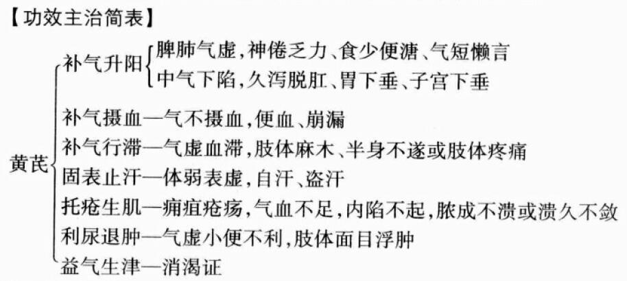 黄芪的功效与作用