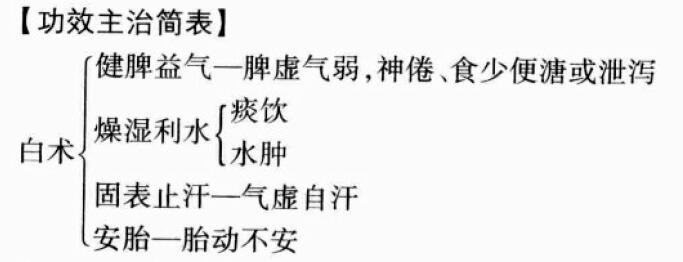 白术的功效与作用