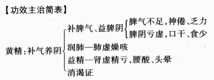 黄精的功效与作用