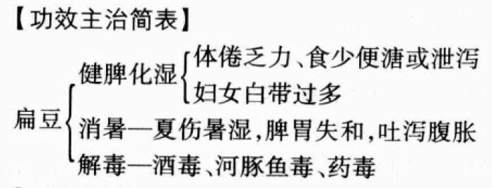 扁豆的功效与作用