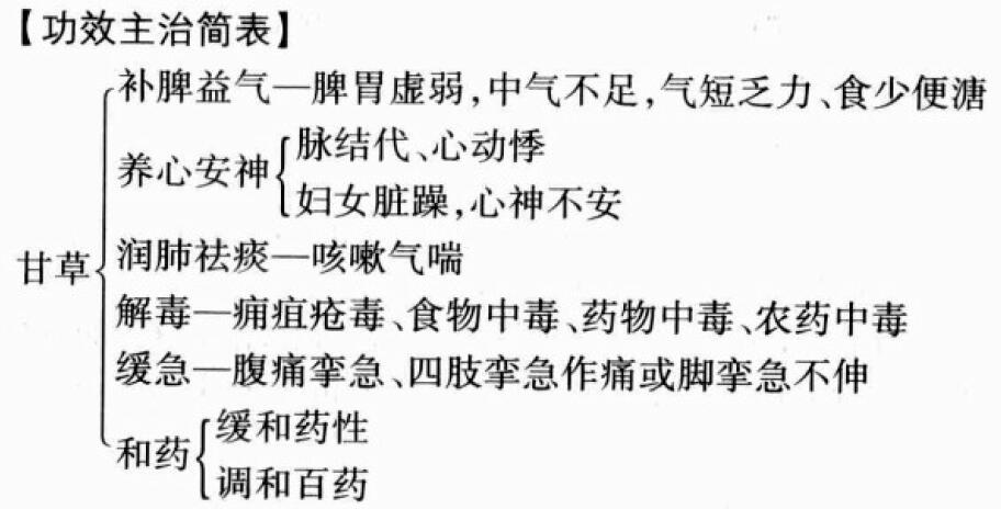 甘草的功效与作用