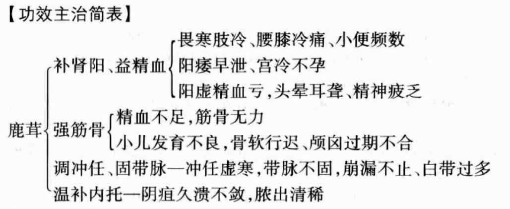 鹿茸的功效与作用