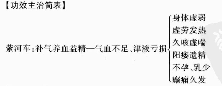 紫河车的功效与作用