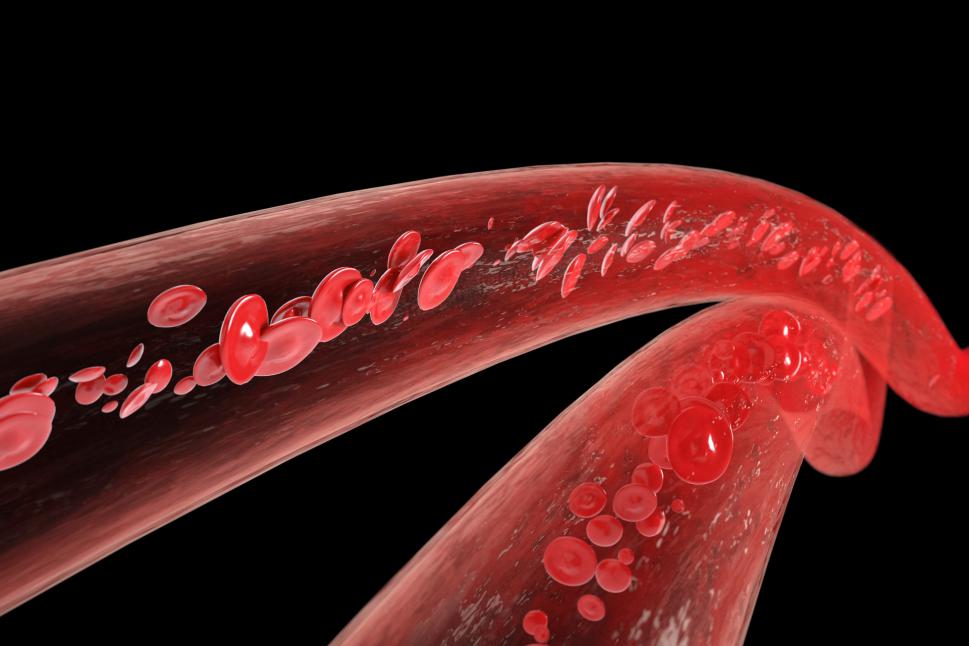 摄图网_401805513_banner_心血管系统（非企业商用）