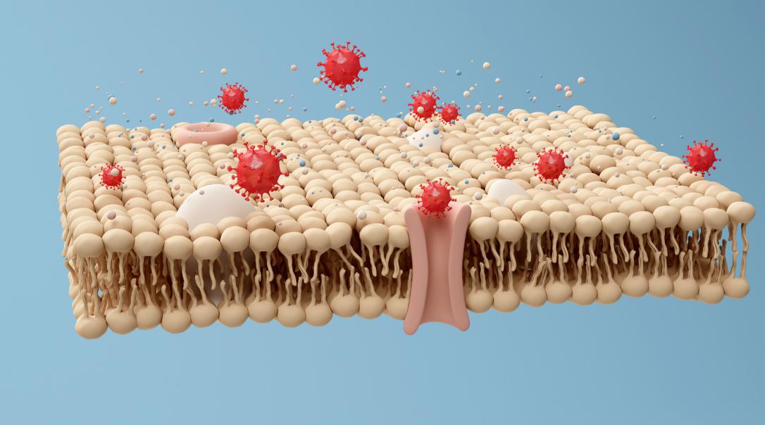 摄图网_401862155_banner_3D脂肪蛋白质细菌场景（非企业商用）