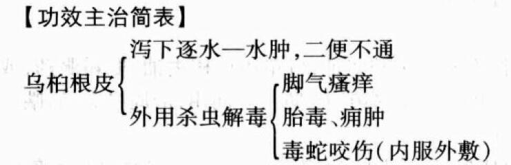 乌桕根皮的功效与作用