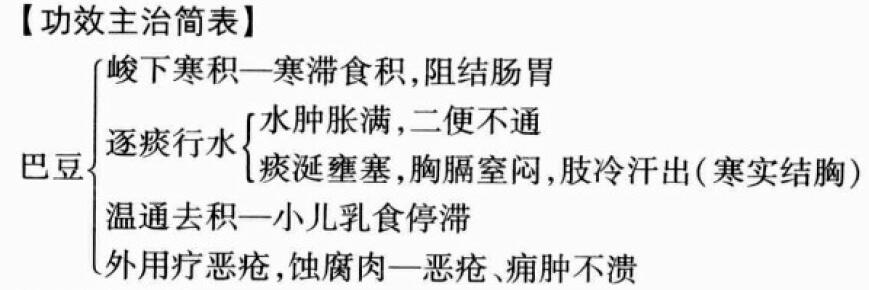 巴豆的功效与作用